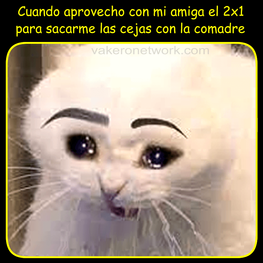 CEJAS AMIGA 2X1