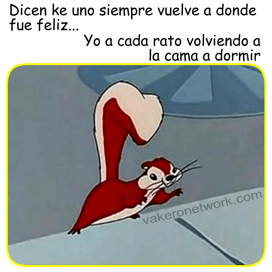 VUELVE FELIZ CAMA DORMIR