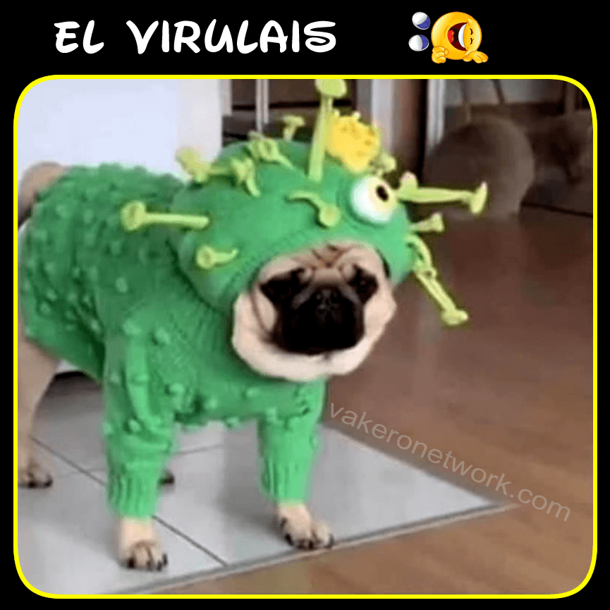 EL VIRULAIS