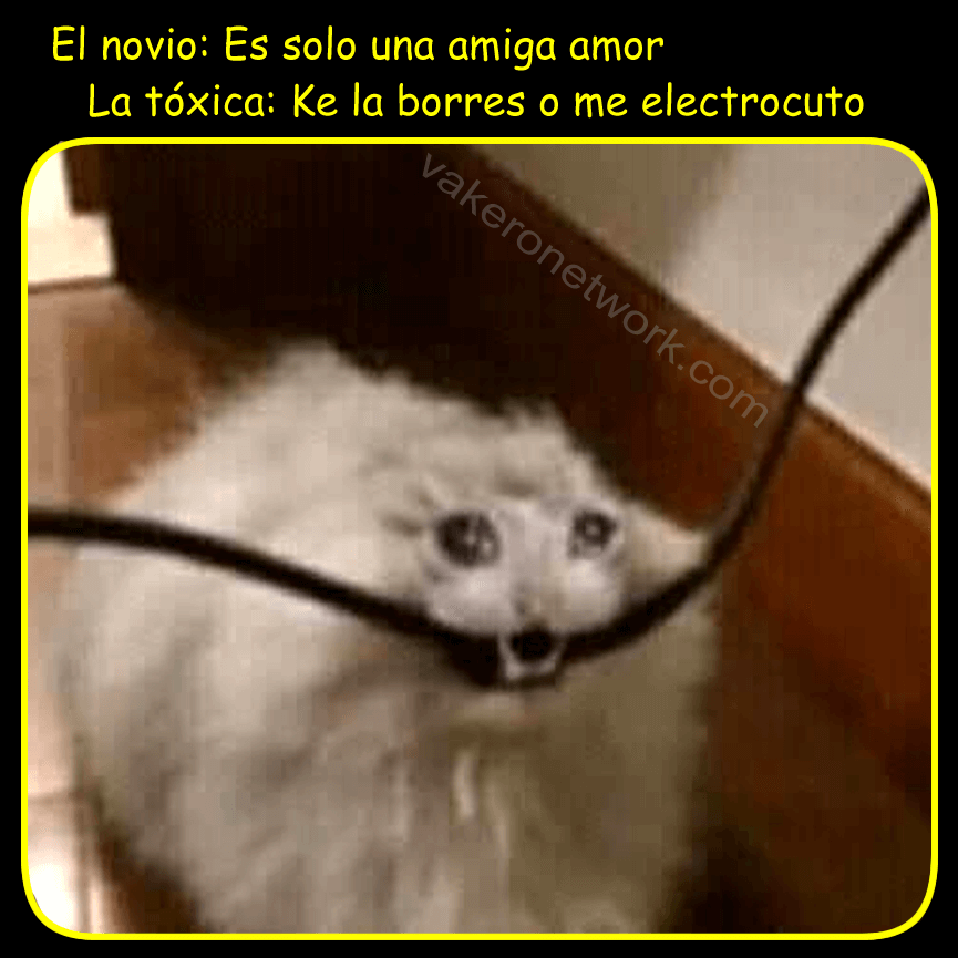 NOVIO SOLO AMIGA AMOR TÓXICA BORRES